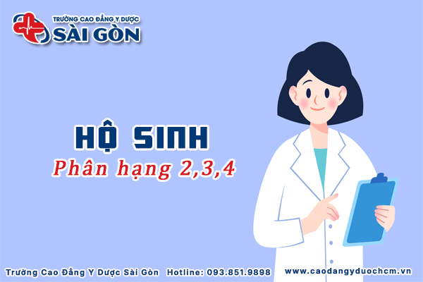 Phân hạng Hộ sinh